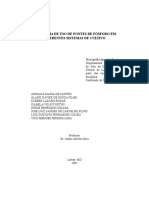 Efici_ncia de Uso de Fontes de F_sforo Em Diferentes Sistemas de Cultivo