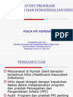 Audit Ppi