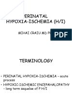 Perinatal Hypoxia-Ischemia (H/I) : Mihai Craiu MD PHD