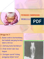 Periode Embrionik 2