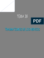 Guión Tema 38 (Traumat. de Los Nervios)