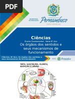 Os Orgãos Do Sentido e Seus Mecanismo de Funcionamento