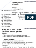 Mm - net.pdf