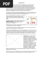 Diferenças de Pronúncia Entre Português e Inglês