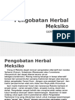 Pengobatan Herbal Meksiko