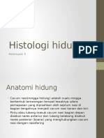 Histologi Hidung