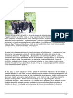 Crestinul in Piata PDF