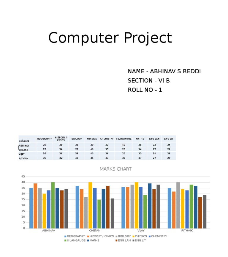 Computer Project: Name - Abhinav S Reddi Section - Vi B Roll No - 1 | PDF