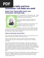 Download 12 Tissue Salts and How Schuessler Cell Salts Are Used by Tosten Hartwig SN33575 doc pdf