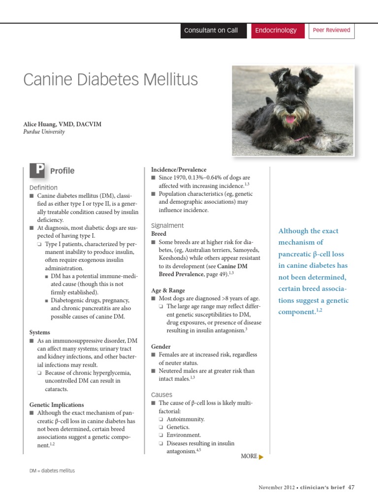 Canine Diabetes Mellitus | Diabetes Mellitus | Hyperglycemia
