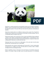 panda.docx