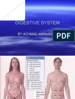 Digestive System