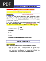 Responsabilidade Civil Por Factos Ilícitos