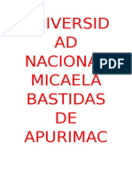 Universidad Nacional Micaela Bastidas de Apurimac