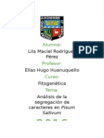 Análisis de La Segregación de Caracteres en Pisum Sativum