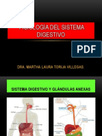 Fisiología Proceso Digestivo