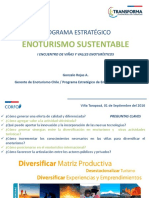 ENOTURISMO-CHILE.-Programa-Estratégico-de-Enoturismo-Sustentable-2025.-Gonzalo-Rojas.