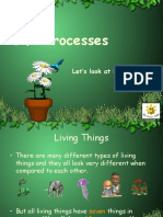 Life Processes: Let's Look at Living Things