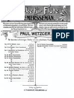 Demersseman - Solo de Concert No. 6 Op 82.pdf
