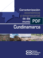 Caracterizacion Economica y Empresarial de 19 Municipios