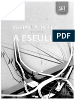 Varianta Rapida de Pregatire a Eseului Pentru Bacalaureat.pdf