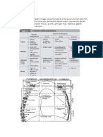 Mediastinum 3