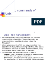 Basic Commands of Unix