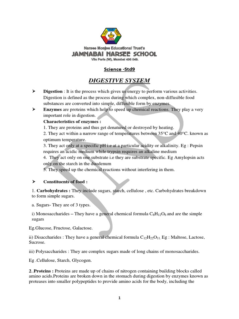 Soalan Quiz English - Contoh Now