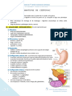 Estomac PDF