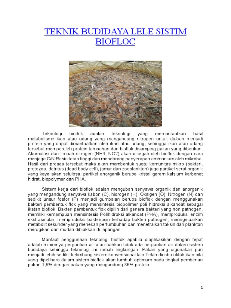 TEKNIK BUDIDAYA LELE SISTIM BIOFLOC 2.pdf