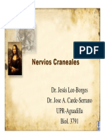 nervioscranealesrev-modo-de-compatibilidad.pdf