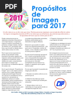 Artículo 23. Propósitos de Imagen para 2017