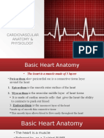 Cardiovascular Anatomy & Physiology