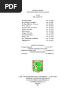 Download LAPORAN AKHIR ILMU UKUR WILAYAH by anggie yulia sari SN335904906 doc pdf