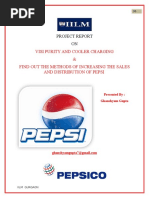 pepsiprojectreport.doc