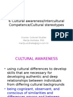 6 Cultural Awareness/intercultural Competence/Cultural Stereotypes