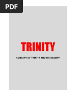 Misunderstandings of The Trinity | PDF | Oneness Pentecostalism | Trinity