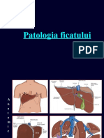 Patologia ficatului