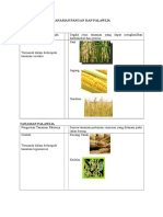 Tanaman Pangan Dan Palawija