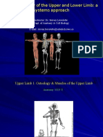 Anatomy of the Upper and Lower Limb