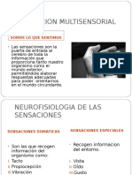 ESTIMULACION MULTISENSORIAL 1