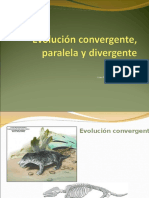 4 Evolucion Convergente y Divergente