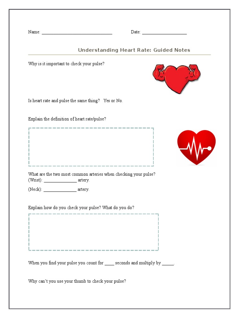 Undersanding Heart Rate GUIDED NOTES | PDF