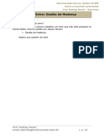 Aula Extra Administração Geral.pdf