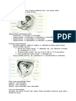 Anatomi Dan Fisiologi Mata - 1.doc