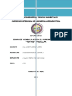 Envase y Embalaj. Informe