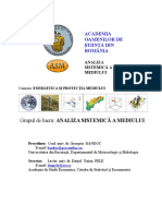 Grupul de Lucru Analiza Sistemica A Mediului