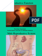 Dr.simon Reproductive Function