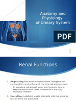 Anatomy Physiology Urinary System