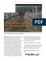 How To Measure Dormant Pruning Weight of Grapevines